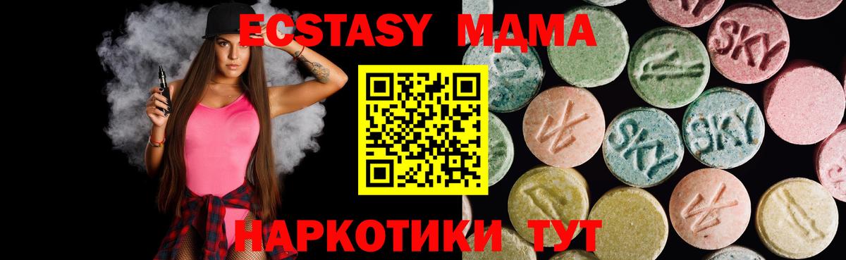 МЕФ Тара