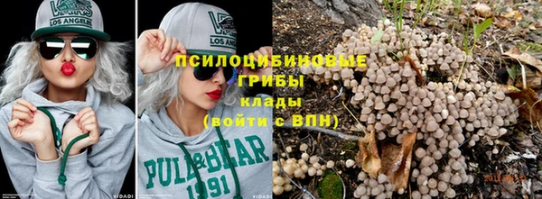 ГАЛЛЮЦИНОГЕННЫЕ ГРИБЫ Алексин
