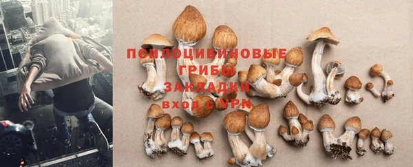 прущая мука Алексеевка