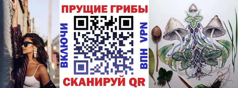 Псилоцибиновые грибы Psilocybe  маркетплейс официальный сайт  Тара  где продают  