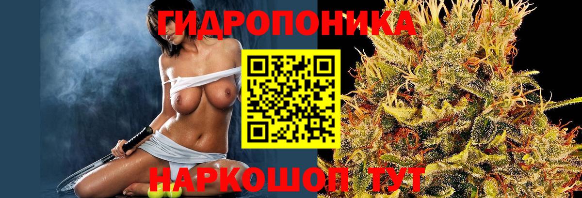 Тара  Канабис OG Kush  Марихуана Amnesia  МАРИХУАНА план  Вход с VPN 